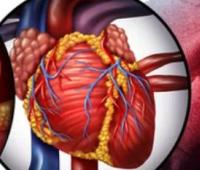 Cardiovascular Disorders as a Risk Factor for Severe Covid-19: A Systematic Literature Review