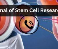 Publishing leading research on ethical, legal & social issues surrounding embryonic cells