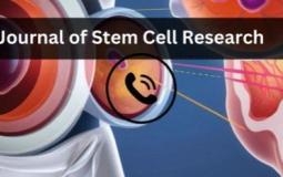 Publishing leading research on ethical, legal & social issues surrounding embryonic cells